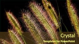  Presentation with grass - Beautiful PPT theme featuring colorful-blades-of-grass backdrop and a tawny brown colored foreground