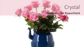  Presentation with cattle - Theme consisting of colorful-bouquet-gerber-flowers background and a coral colored foreground