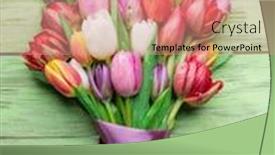  Presentation with tulips - Theme consisting of colorful-bouquet-of-tulips background and a coral colored foreground
