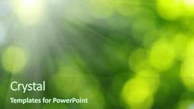  Presentation with green logistics - Presentation design enhanced with colorful bubbles - green blurred background and sunlight background and a forest green colored foreground