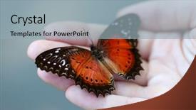  Presentation with colorful hand prints - Presentation design having colorful butterfly in female hand background and a  colored foreground