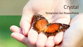  Presentation with butterfly - PPT theme featuring colorful butterfly in female hand background and a  colored foreground