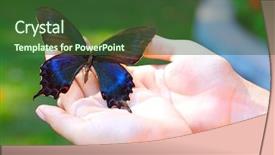  Presentation with colorful hand prints - Slide deck enhanced with colorful butterfly in female hand background and a  colored foreground