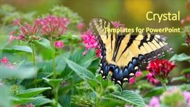  Presentation with pink flowers - Amazing presentation having colorful-butterfly-on-pink-flowers backdrop and a tawny brown colored foreground