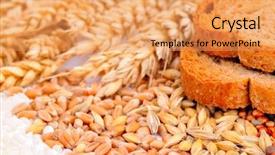  Presentation with seeds of faith - Theme consisting of colorful cereal seeds and toasted bread background and a yellow colored foreground
