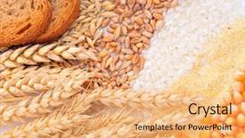  Presentation with cereal - Cool new slides with rice mill - colorful cereal seeds and wheat backdrop and a coral colored foreground