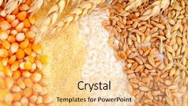  Presentation with cereal - Colorful slide deck enhanced with colorful cereal seeds and wheat backdrop and a lemonade colored foreground