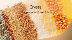 Presentation with cereal - Audience pleasing PPT theme consisting of colorful cereal seeds background backdrop and a yellow colored foreground