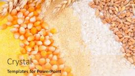  Presentation with cereal - Colorful slides enhanced with rice mill - colorful cereal seeds backdrop and a yellow colored foreground
