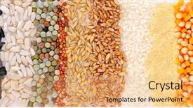 Presentation with cereal - Beautiful slides featuring colorful cereal seeds backdrop and a coral colored foreground