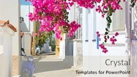  Presentation with greek - Beautiful theme featuring colorful-cosy-greek-small-street backdrop and a soft green colored foreground