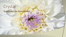  Presentation with dew - 