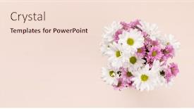  Presentation with daisy - Slide deck featuring colorful-daisy-flowers-bouquet-flat background and a lemonade colored foreground