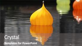  Presentation with water - PPT layouts enhanced with colorful decorative floats on water background and a  colored foreground