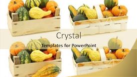  Presentation with woven - Colorful presentation theme enhanced with colorful-decorative-pumpkins-and-straw backdrop and a blonde colored foreground