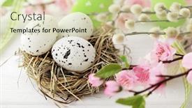  Presentation with easter - PPT layouts with colorful easter eggs and spring flowers background and a soft green colored foreground