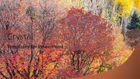  Presentation with fall foliage - Slide set featuring colorful-fall-foliage-on-maple background and a red colored foreground