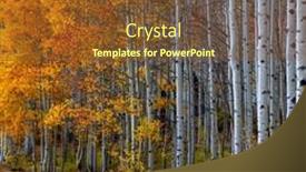  Presentation with fall foliage - Slide deck enhanced with colorful-fall-foliage-on-tall background and a  colored foreground