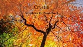  Presentation with asheville - Slide deck featuring colorful-fall-foliage background and a red colored foreground