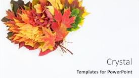  Presentation with fall - Slide deck with colorful-fall-leaf-bouquet background and a cool aqua colored foreground