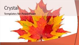  Presentation with fall leaves - PPT layouts with colorful fall leaves over white background background and a lemonade colored foreground