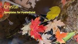  Presentation with autumn leaves - Presentation design having colorful-fallen-autumn-leaves-floating background and a tawny brown colored foreground