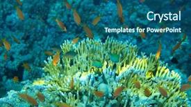  Presentation with fishes - PPT layouts featuring colorful fishes background and a ocean colored foreground