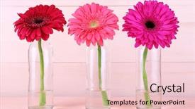 Presentation with skyscraper glass tower - Presentation consisting of colorful flower - beautiful bright gerberas in glass background and a lemonade colored foreground