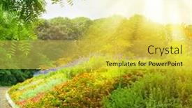  Presentation with colorful flower - Audience pleasing PPT layouts consisting of colorful flower bed and place for rest on bright sunny afternoon park background backdrop and a yellow colored foreground