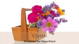  Presentation with colorful flower - Slides having colorful-flower-bouquet-in-wooden background and a coral colored foreground