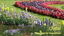  Presentation with colorful flower - Cool new PPT layouts with colorful flower design in garden backdrop and a  colored foreground
