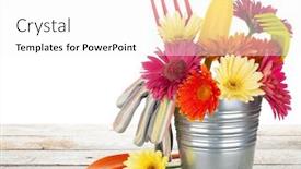  Presentation with garden tools - PPT theme with colorful flowers and garden tools on wooden table isolated on white background background and a white colored foreground