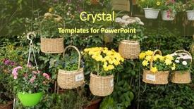  Presentation with paper quilling colorful paper flowers - Slide set enhanced with colorful flowers in basket hanging background and a  colored foreground