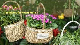  Presentation with garden - Audience pleasing presentation design consisting of colorful flowers in basket hanging backdrop and a  colored foreground