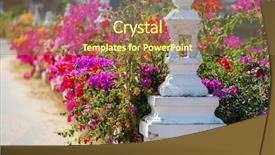  Presentation with bougainvillea - Presentation theme consisting of colorful flowers in bougainvillea background and a  colored foreground