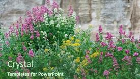  Presentation with garden - Presentation theme featuring colorful-flowers-in-the-garden background and a ocean colored foreground
