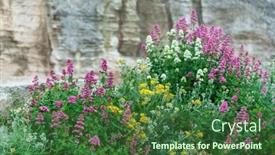  Presentation with garden - PPT theme consisting of colorful-flowers-in-the-garden background and a ocean colored foreground