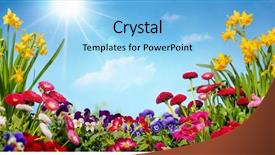  Presentation with football blue colors - Slide deck featuring colorful flowers over blue sky background and a light blue colored foreground