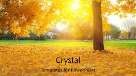  Presentation with park - Presentation theme having colorful foliage in the autumn background and a gold colored foreground