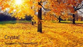  Presentation with colorful odontology teeth - Amazing presentation theme having colorful foliage in the sunny backdrop and a gold colored foreground