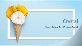  Presentation with ice cream cone - Slide set consisting of colorful-gerbera-flowers-in-ice background and a sky blue colored foreground