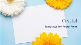  Presentation with greeting card - Theme featuring colorful-gerbera-flowers-over-blue background and a sky blue colored foreground