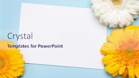  Presentation with greeting card - Beautiful PPT layouts featuring colorful-gerbera-flowers-over-blue backdrop and a sky blue colored foreground
