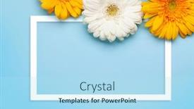  Presentation with greetings - Colorful slide set enhanced with colorful-gerbera-flowers-over-blue backdrop and a light blue colored foreground