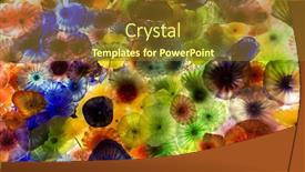  Presentation with colorful flower - 