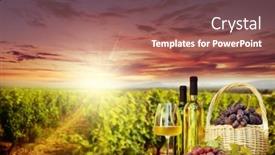  Presentation with wine - Audience pleasing slides consisting of colorful-grapes-in-basket-white backdrop and a coral colored foreground