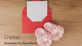  Presentation with congratulations baby - Beautiful presentation theme featuring colorful-handmade-knitting-baby-shoes backdrop and a coral colored foreground