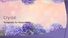  Presentation with hydrangea - Amazing presentation design having colorful-hydrangea-flowers-close-up backdrop and a lemonade colored foreground