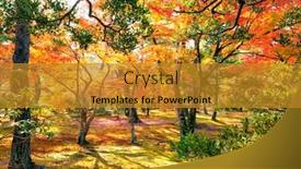  Presentation with maple - Beautiful PPT layouts featuring colorful japanese maple acer palmatum trees during momiji season at kinkakuji garden kyoto japan backdrop and a gold colored foreground