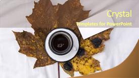  Presentation with bed - Presentation design featuring colorful leaf as a chock background and a tawny brown colored foreground